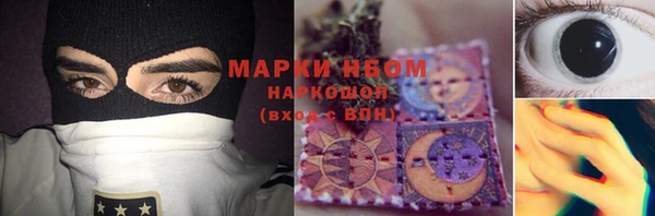 тгк Инсар