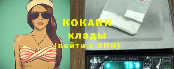 apvp Белокуриха