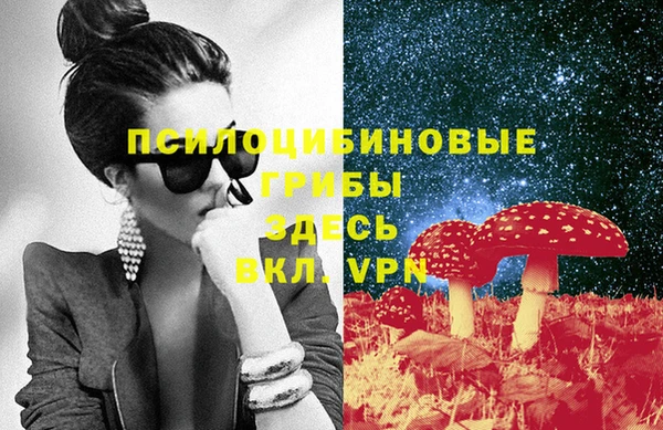 PSILOCYBIN Баксан