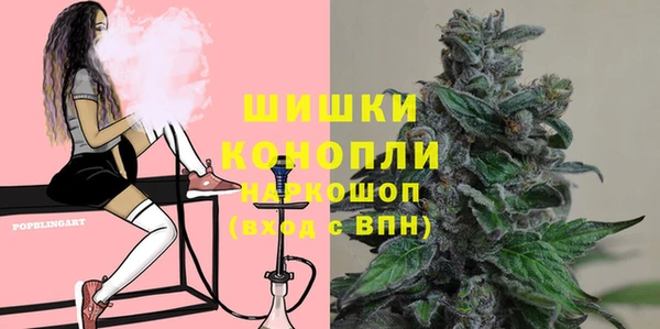 apvp Белокуриха