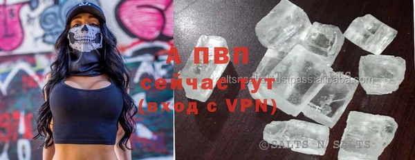 PSILOCYBIN Балахна