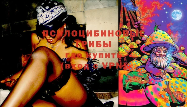 прущий лед Инта