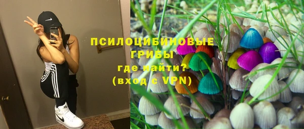 apvp Белокуриха