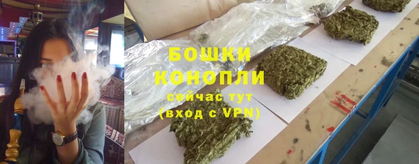 PSILOCYBIN Баксан