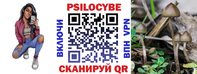 Галлюциногенные грибы MAGIC MUSHROOMS  купить наркоту  Курильск 
