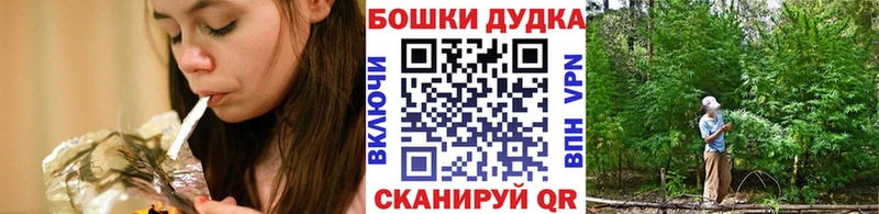наркотики  Курильск  Бошки марихуана план 